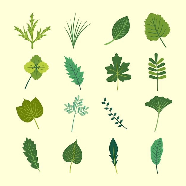 Free vector green leaves collection