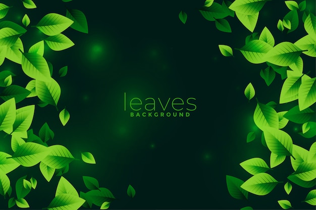 Green leaves eco background design concept