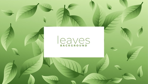 Free vector green leaves eco background design