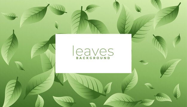 Green leaves eco background design