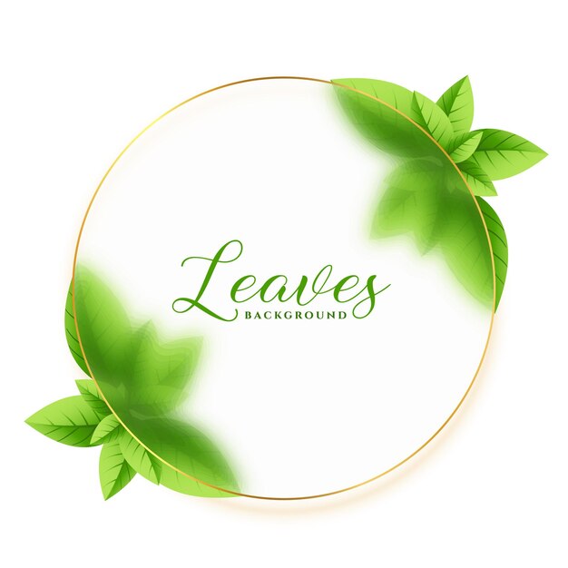 Green leaves frame eco background