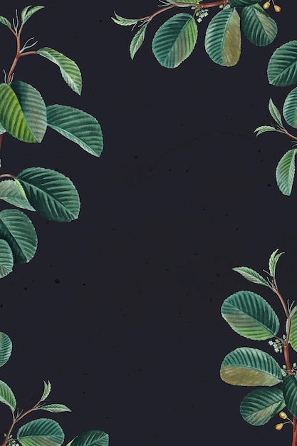 green leaves frame