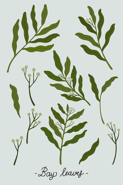 Free vector green leaves on a gray background illustration