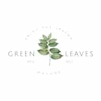 Free vector green leaves logo design vector