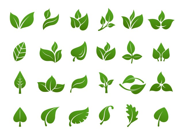 葉 画像 無料のベクター ストックフォト Psd