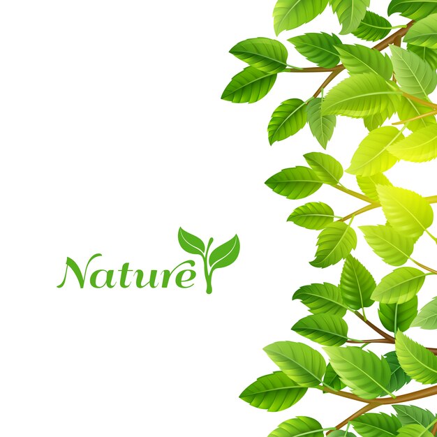 Green leaves nature background print