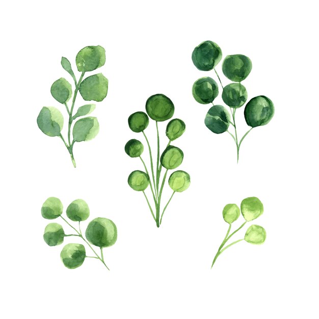 Green Leaves Vector Watercolor Set.