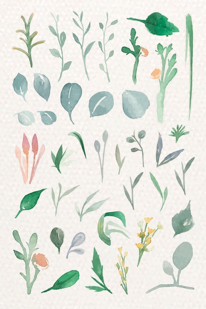 Free vector green leaves in watercolor