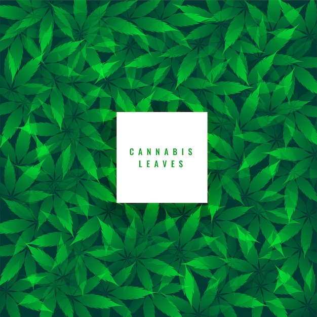 Бесплатное векторное изображение Зеленые листья марихуаны узор фона