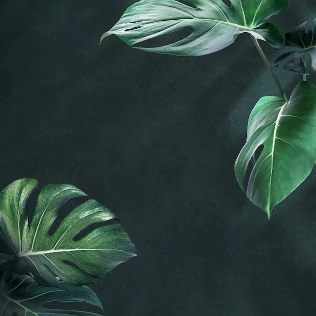 Green monstera leaves background design resource