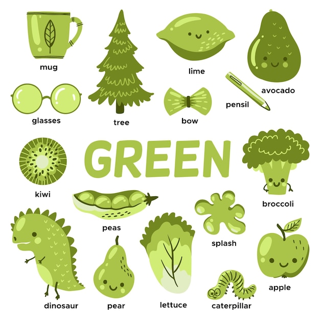 Free Vector | Green objects and vocabulary words