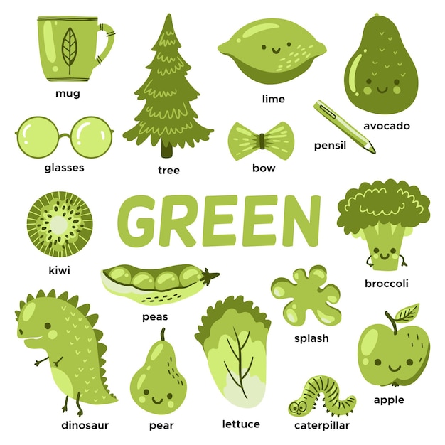 Free vector green objects and vocabulary words