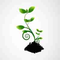 Free vector green plant