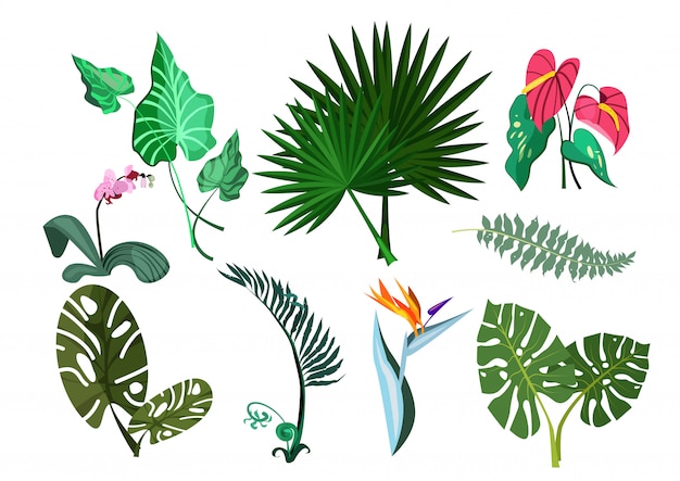 Free vector green plants set illustration