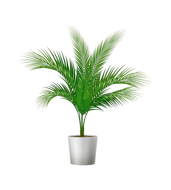 Green potted plant for room interior realistic vector illustration