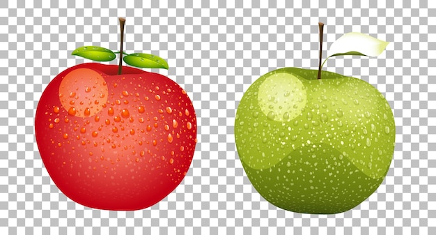 Green and red apples realistic isolated