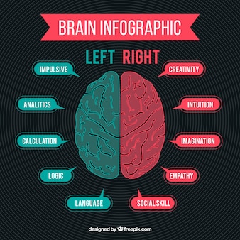 Green and red human brain infographic