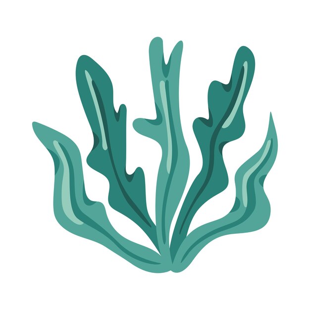 green seaweed design