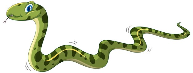 Green snake cartoon character isolated on white background