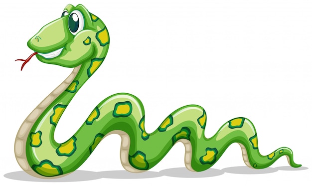 Зеленая змея ползет по белому