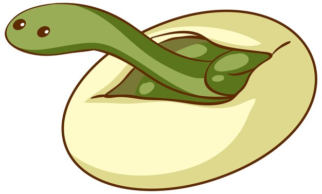 Зеленая змея вылупляется из яйца