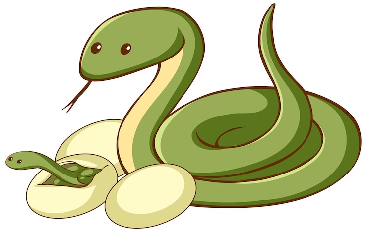 Free Vector green snake with eggs animal cartoon on white background