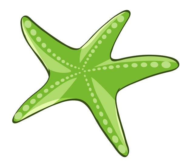 Зеленая морская звезда на белом фоне