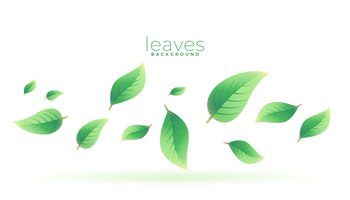 Бесплатное векторное изображение Листья зеленого чая падают фон дизайн