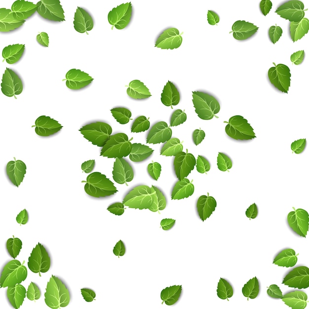Листья зеленого чая падают на изолированный белый фон
