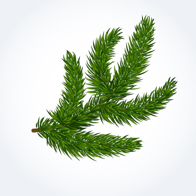 Free vector green tree branch