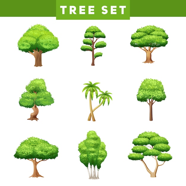 Коллекция плоских пиктограмм зеленых деревьев с различной листвой и формами коронок