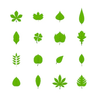 Green trees leaves flat icons set of oak aspen linden maple chestnut clover plants isolated vector illustration