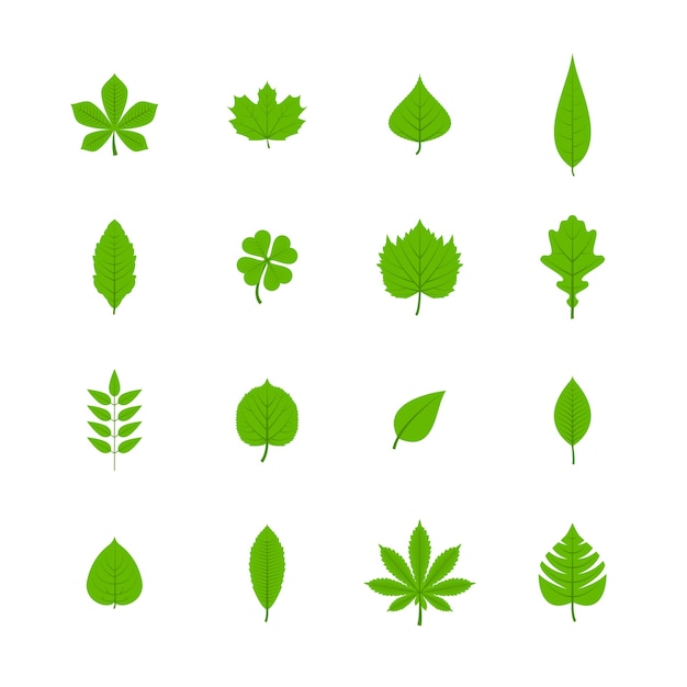 Green trees leaves flat icons set of oak aspen linden maple chestnut clover plants isolated vector illustration
