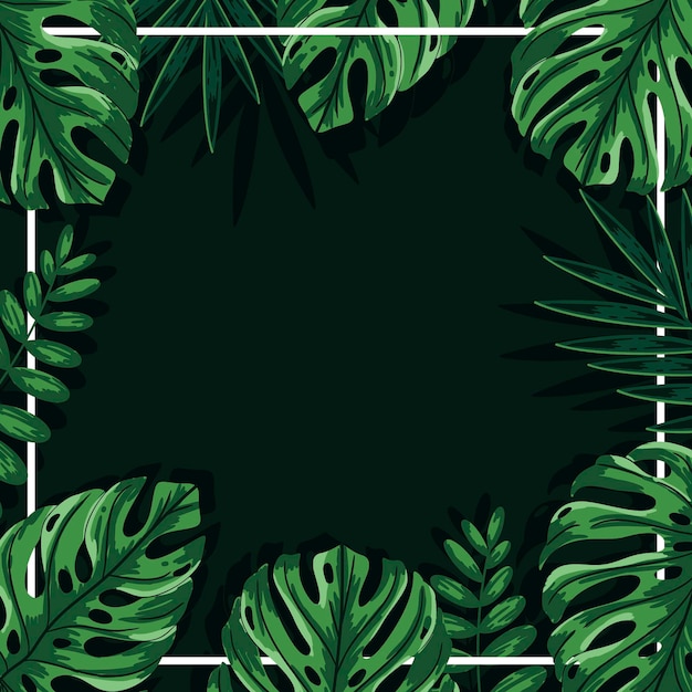 Green tropical leaves background with frame