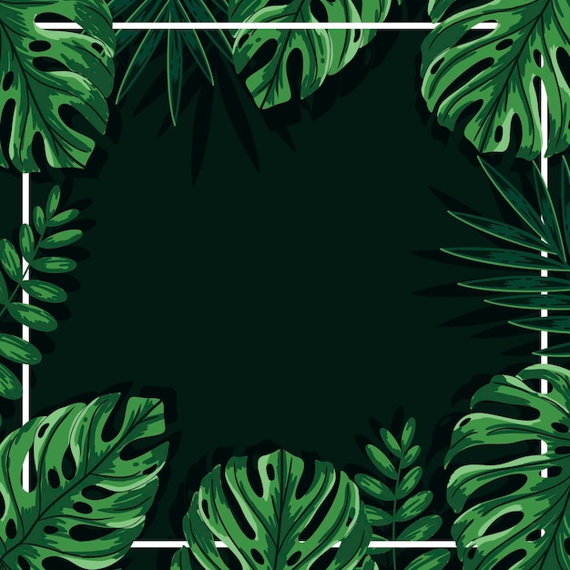 Зеленые тропические листья фон с рамкой
