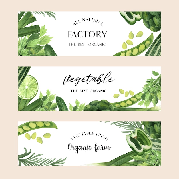 Free vector green vegetables watercolor organic farm fresh for food menu