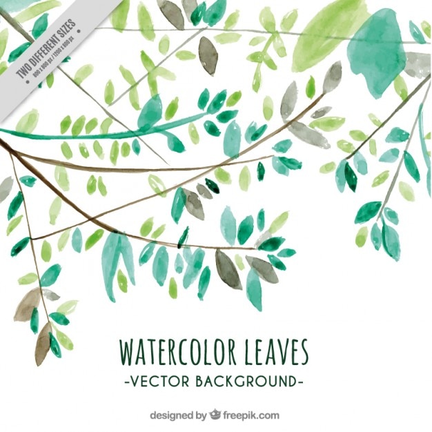 無料Vector グリーン水彩画の葉