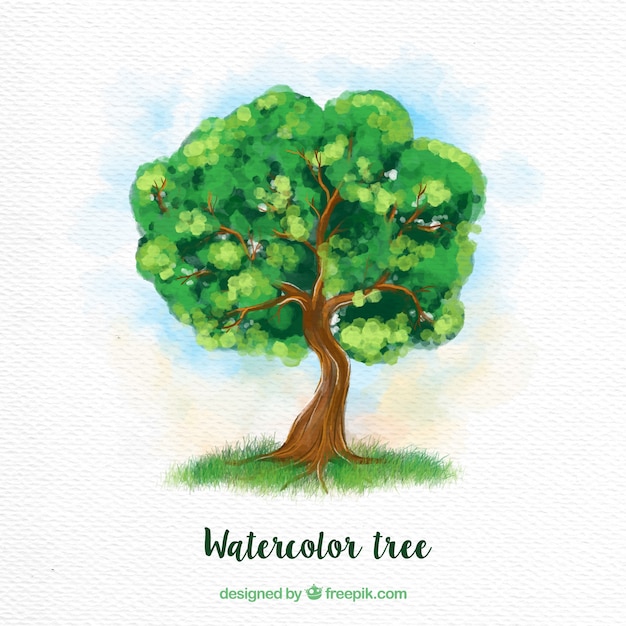 Green watercolor tree