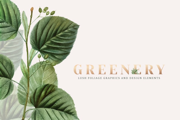 Free vector greenery wallpaper