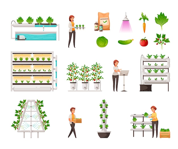 Set di agricoltura in serra con idroponica verticale e simboli aeroponici fumetto illustrazione vettoriale