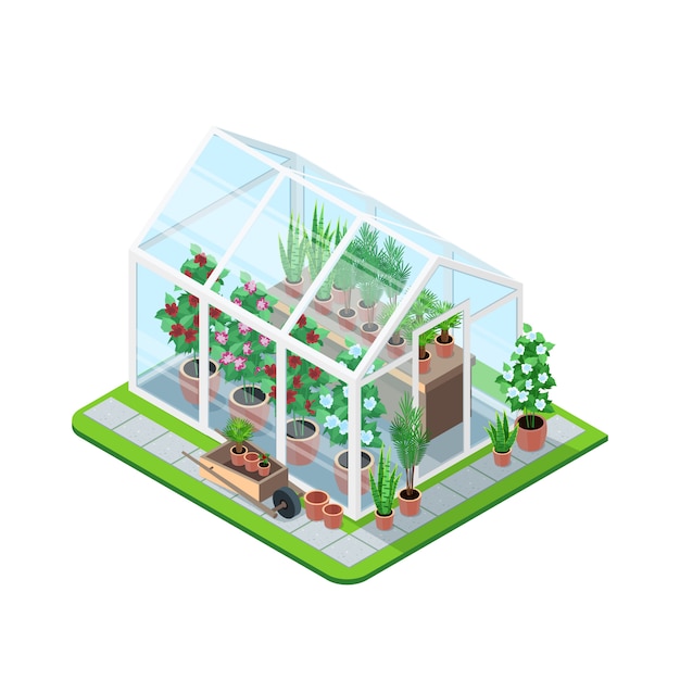 Free vector greenhouse isometric composition