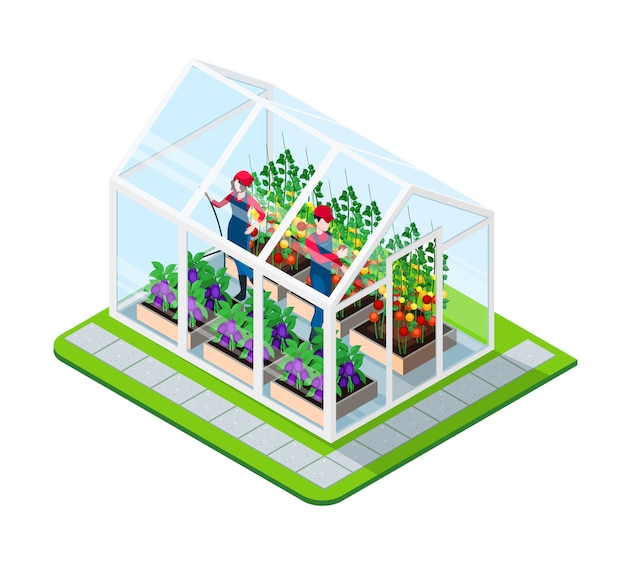 Free vector greenhouse isometric concept