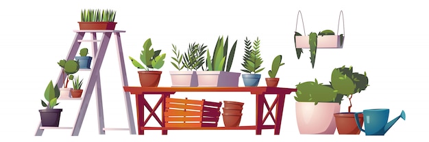 Greenhouse plants, orangery or floristic store interior stuff, garden rack with potted flowers,