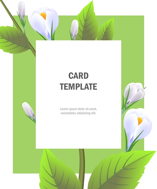 Greeting card template with white crocuses on green frame. Party, event, celebration. 