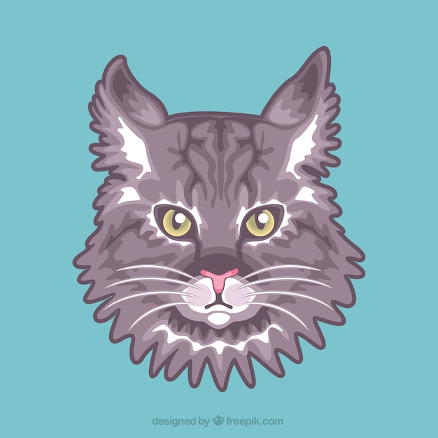 Grey cat portrait