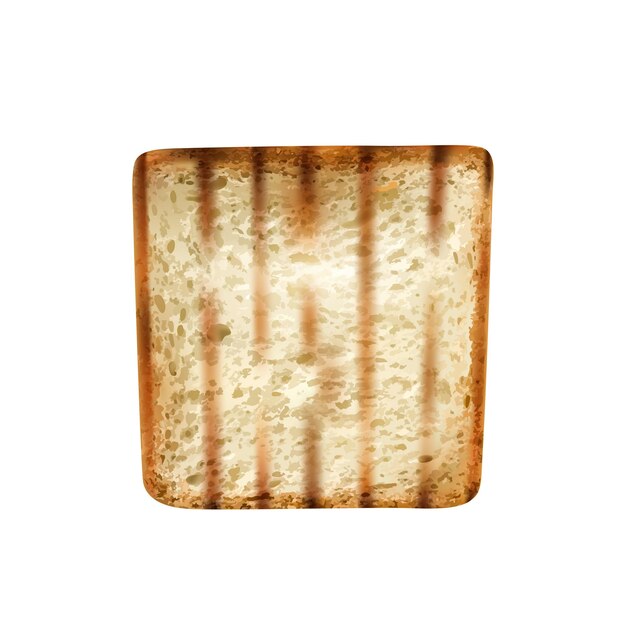 Grilled wheat bread slice on white background realistic vector illustration