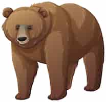 Vettore gratuito orso grizzly animale su sfondo bianco