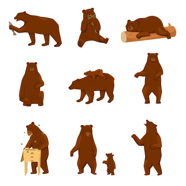 Бесплатное векторное изображение Плоский набор иконок медведей гризли с изолированными видами ходячих медведей с детенышем рыбы и векторной иллюстрацией улья