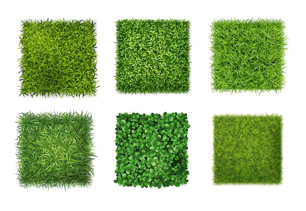 Фоновая текстура почвопокровных растений 6 реалистичных квадратных иконок с зеленой травой клевера оставляет векторную иллюстрацию