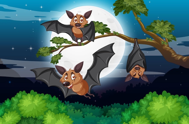 Group of bats in the forest at night